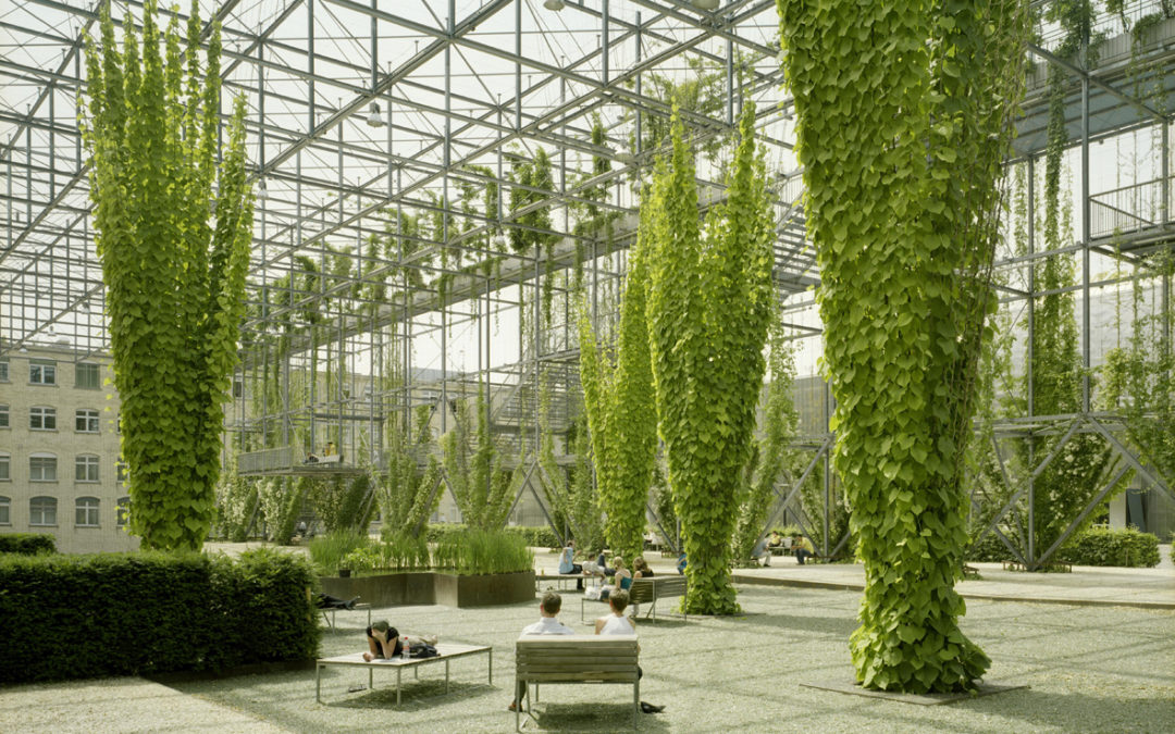 Ursachen nicht als Lösung verpacken