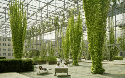 Ursachen nicht als Lösung verpacken